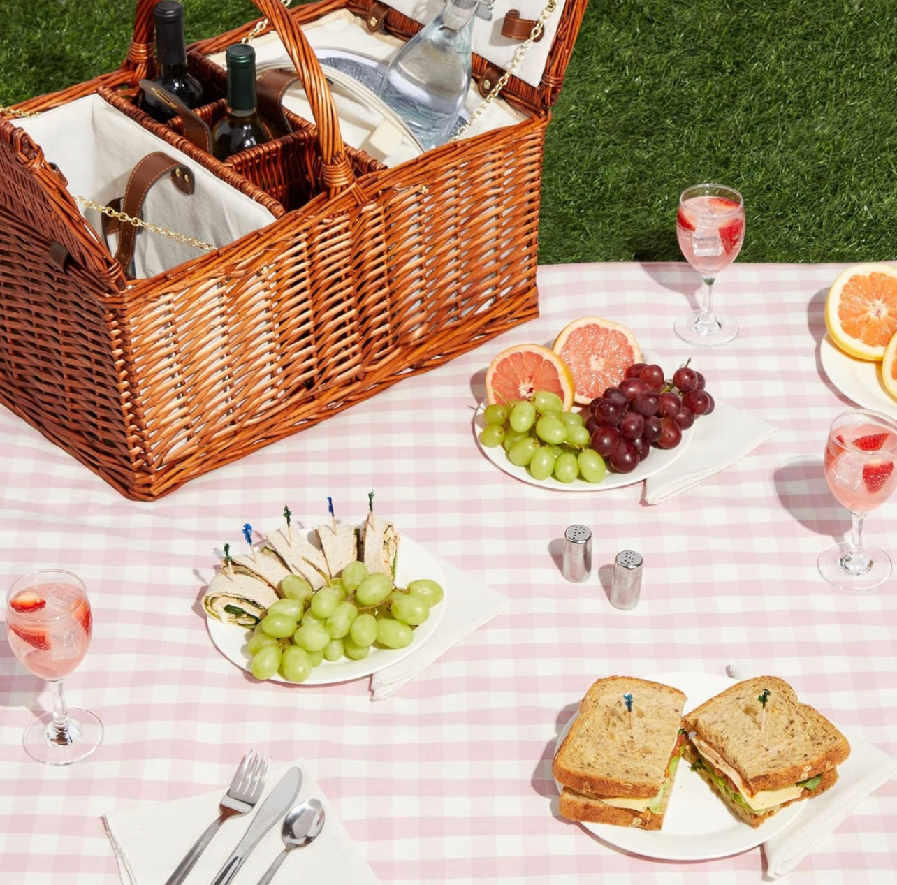 Classic Picnic Rental Package